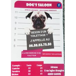 DOG'S SALOON, Salon de toilettage à Cahors, toilettage chien et chat à Cahors