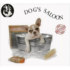 DOG'S SALOON, Salon de toilettage à Cahors, toilettage chien et chat à Cahors